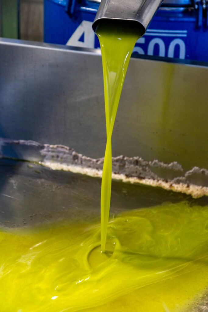 cold pressing extra virgin olive oil production process